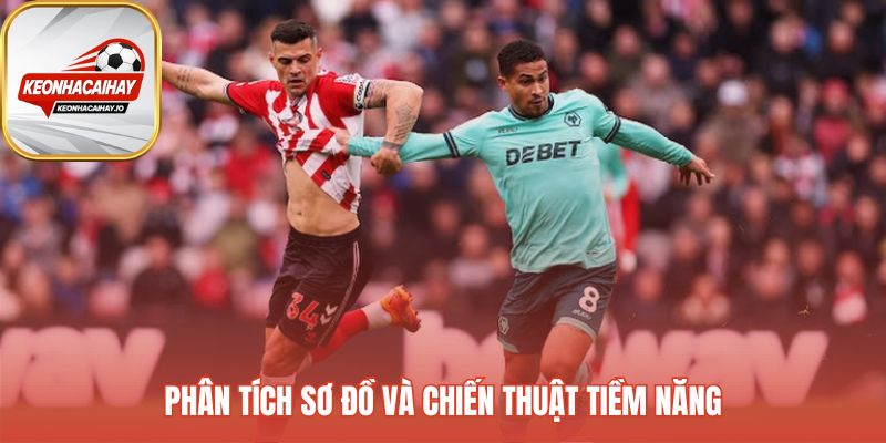 Sơ đồ và chiến thuật tiềm năng của đội Sunderland