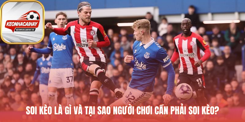 Tìm hiểu soi kèo là gì và tại sao cần phải soi kèo