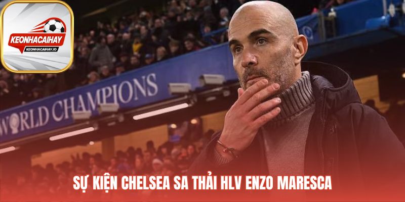Vụ sa thải HLV phơi bày sự hỗn loạn tại Stamford Bridge