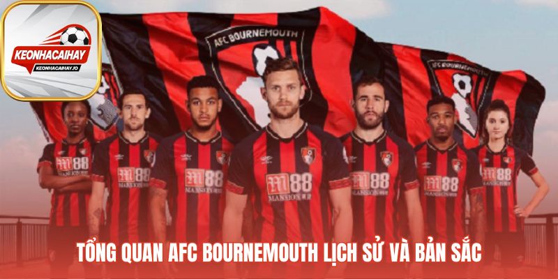 Lịch sử AFC Bournemouth từ tên gọi Boscombe đến biệt danh The Cherries