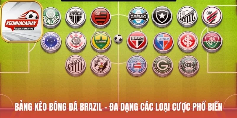 Bảng Kèo bóng đá Brazil có đủ các loại cược phổ biến