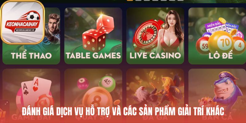Dịch vụ hỗ trợ và các sản phẩm giải trí khác