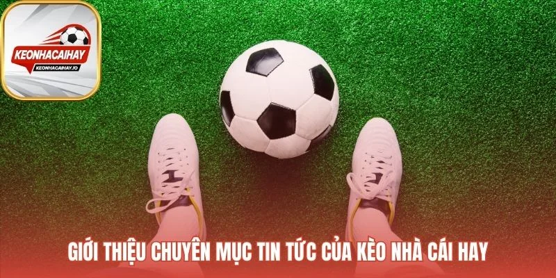Chuyên mục tin tức chắt lọc thông tin ảnh hưởng tỷ lệ kèo