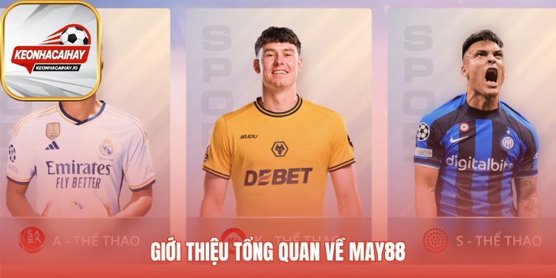 May88 nền tảng chuyên sâu về giải trí thể thao