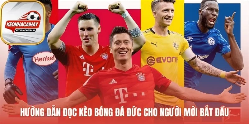 Hướng dẫn đọc kèo bóng đá Đức giải mã các loại kèo phổ biến