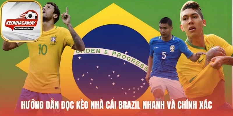 Hướng dẫn đọc Kèo bóng đá Brazil qua quy trình 5 bước